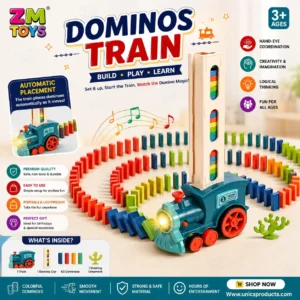 Dominos Train