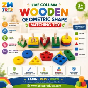 Five Column Wooden Geometric Shape Matching Toy